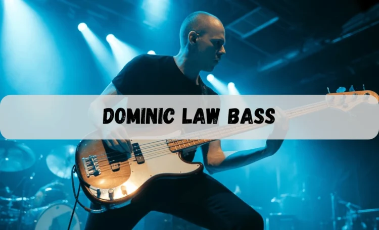 dominic law bass